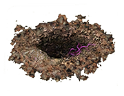 In pursuit of a spider-infestor