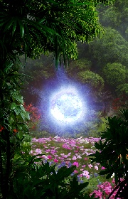 Commander’s Log. Bonus Image 02